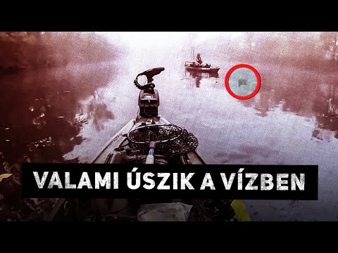 5 videó, amit egy erdőben készítettek [ IJESZTŐ HELYZETEK ]