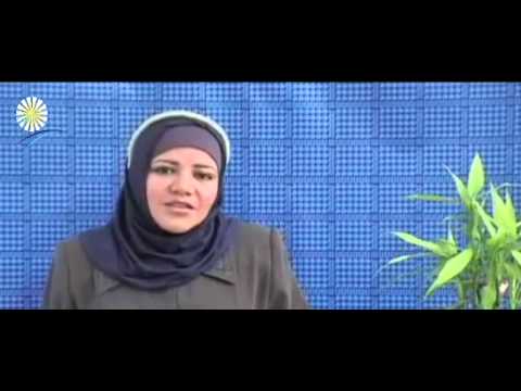 La Biblia Esta Impactada con las Contradicciones Y Los Errores Reportaje Religiones celestiales