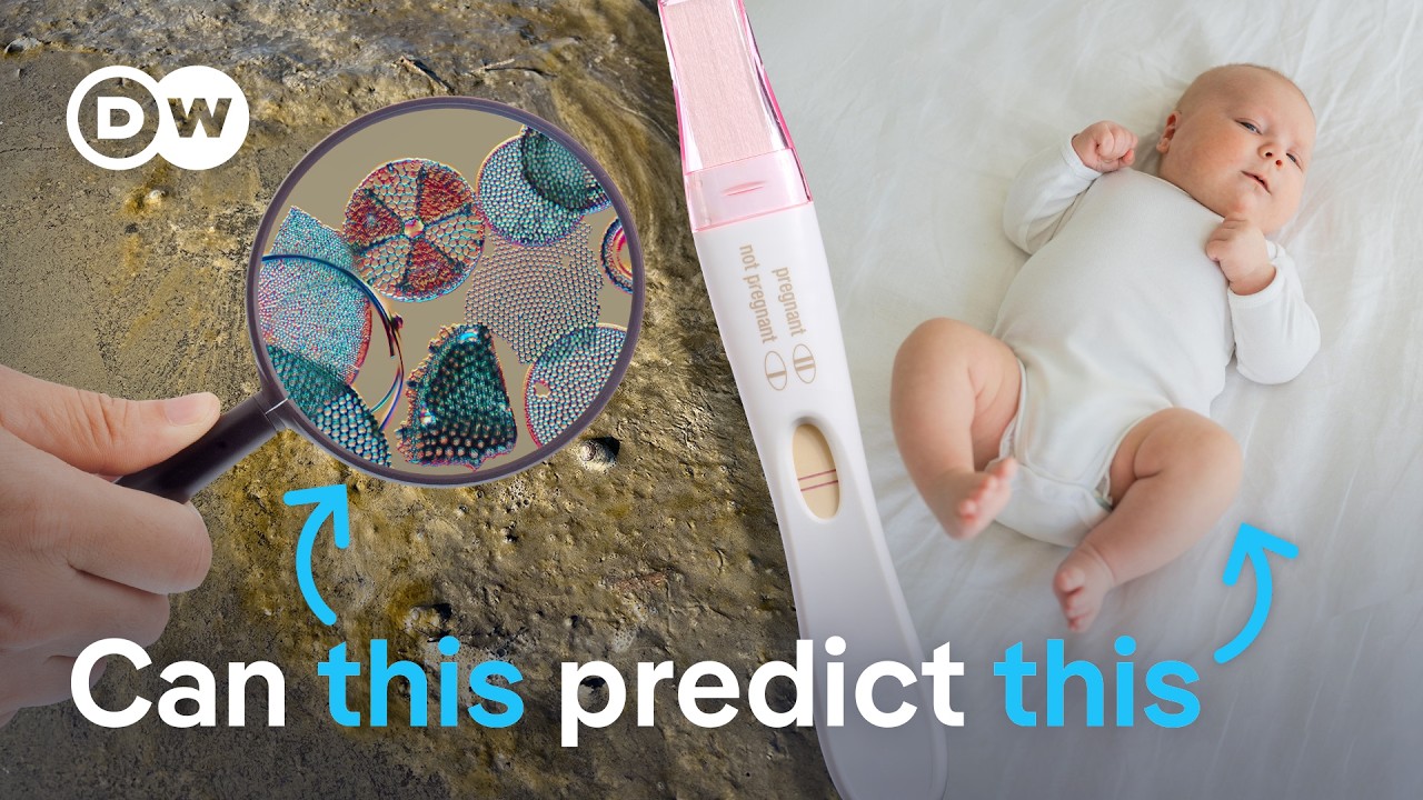 German startup develops animal-free pregnancy tests using algae antibodies