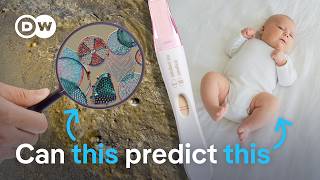 German startup develops animal-free pregnancy tests using algae antibodies
