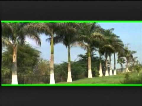 GRUPO MARANATHA - Yoano Ku Kunda Kupuepue