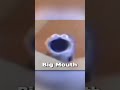 What Screaming Blue Thing Sound Is The BEST