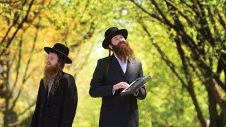 זושה - 2 חלקים של שלם