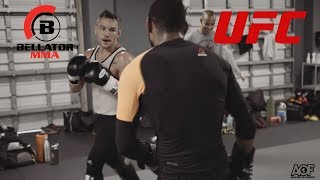 Bellator MMA vs UFC - 15 Year Fued: Michael Chandler vs Michael Johnson