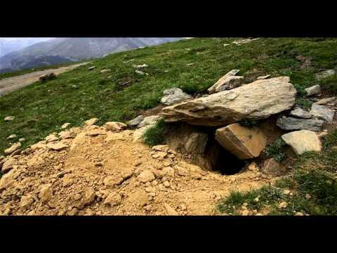 Cubańczyk - Gdzie jest świstaq? (diss)