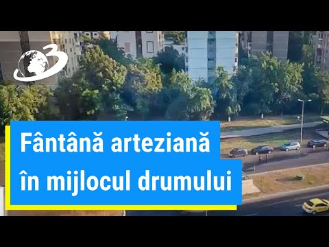 Un bărbat și-a omorât mama cu toporul, la Runcu