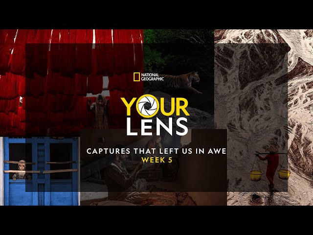 Your Lens: Captures that left us in awe | Week 5