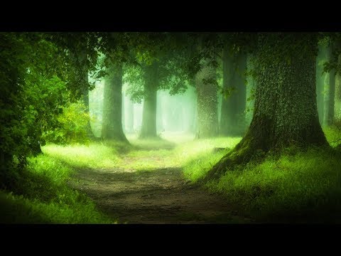 Soothing Celtic Music - Green Moss Woods | Relaxing, Sleep, Peaceful ★143