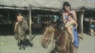 preview picture of video 'Anamarcela Molina: Mi Lado Maternal.'