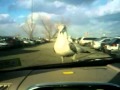 Angry Birds Gone Wild In Nj Pt2