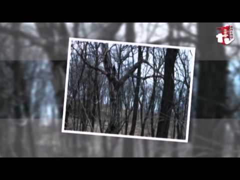 Scoala Altfel la Frumuselu, jud. Bacau