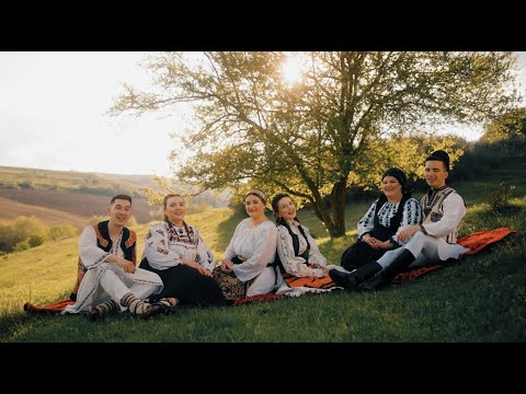 @RoxanaRozovlean @LauraRavas @MihaiDinu. @TeofanaIacob @Aurel_Lupu @CoraliaCostea Colaj Tradițional