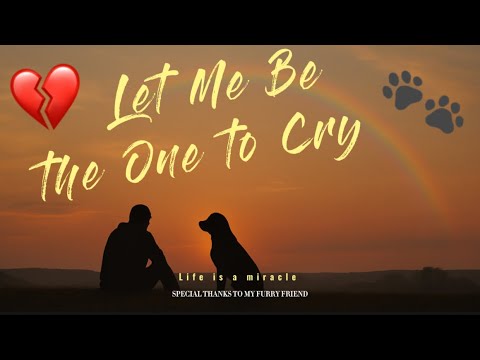 💔 Let Me Be the One to Cry 🐾 | Emotional Farewell Song for Pet Loss 🌈