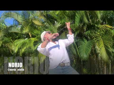 Diego Antoine & Dutore   Music In The Body (NORIO violin solo)