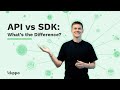 API Vs SDK What S The Difference
