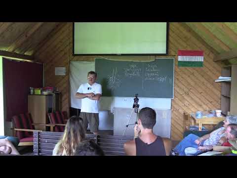 „Gépi vagy népi gyógyászat?”