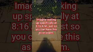 Waking Up At 8:16 AM