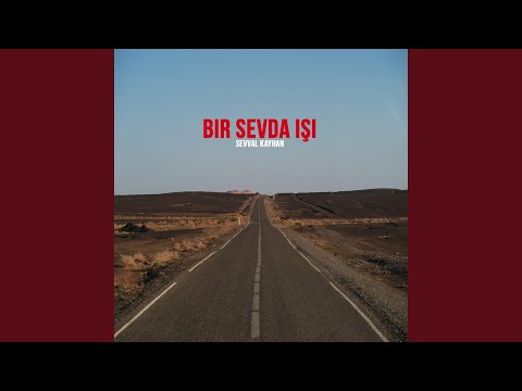 Bir Sevda Işi