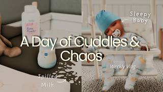 Cuddles and Chaos - The Sims 4