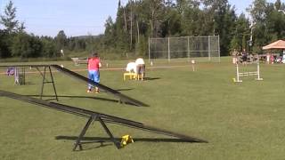 Reason's Agility Novice Standard Title