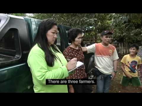 Cocoa Farming - The Good Chocolate.mov