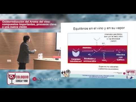 Fotograma del vídeo: Coloquio Ciencia y Vino