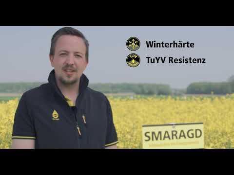 Sortenvorstellung SMARAGD