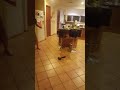 Flip And Stick Big Dildo