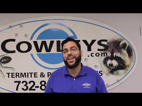 モグラやハタネズミによる芝生の破壊を防ぐためのヒント