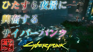 サイバーパンクの世界にフォトモードが止まらない_#11【cyberpunk2077】
