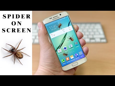 Spider On Screen Prank