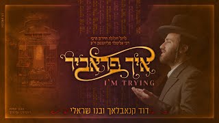 I'm Trying by Dovid Knobloch | איך פראביר - דוד קנאבלאך