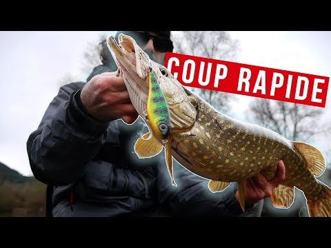 Comment pêcher le brochet ULTRA RAPIDEMENT ?
