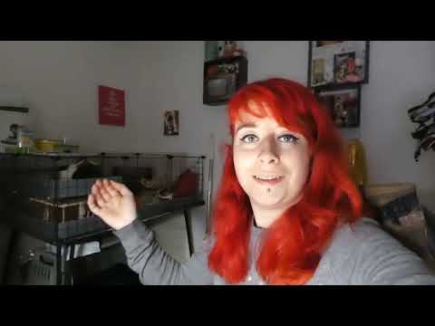 📷 VLOG | Réception et haul Action #402