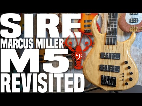Sire M5 Revisited - Taking Another Look at Sire's Best Value Bass Guitar - LowEndLobster Fresh Look