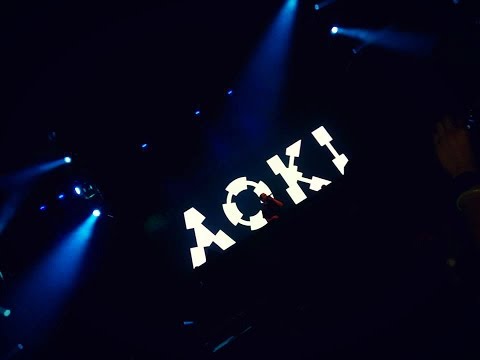 STEVE AOKI /GARDEN RAVE/ 2015