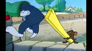 Tom i Džeri – Profesor Tom (1948)