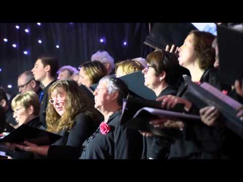 COLORS OF LIFE BY STEVEN VAN KEMPEN