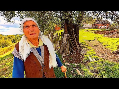 JEZIVO! OD 6 GODINE ME DALI U NAJAM, POSLIJE ŽIVILA S ONOM ŽIVOTINJOM