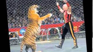 Dama Negra -Mago De Oz