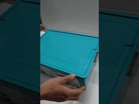 Контейнер "Smart Box" с декором 11,7л. (бирюз., Динозавр), 39.00 х 29.00 х 14.00см, Алеана - фото 1 - id-p1661591509