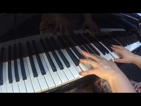 Tantos remidos - Hinário Cristão Menonita 486 (com introdução)