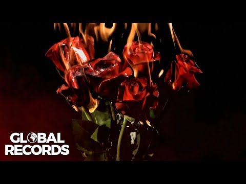 Vibe Drops feat. Chriss Grey & Anna - Rose on Fire | Lyric Video