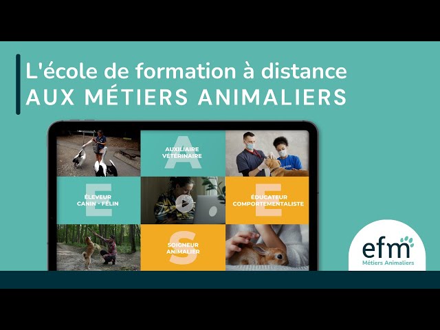 digiSchool vidéo