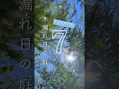 庭で安心して育てることができる、湿った土壌に最適な10の最も美しい低木は何ですか？  庭園