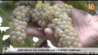 dazi usa rillo avverte il settore del vino va tutelato