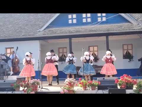 Folklórna skupina seniorov SKC P.J.Šafárika, Nový Sad- choreografia Šariš