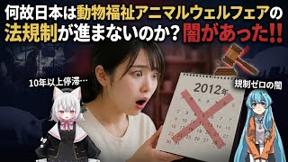 日本は世界一動物を苦しめる国‼️政治のせいだった💢💢💢＃アニマルウェルフェア＃畜産動物
