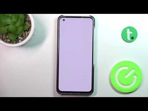 How to Use Secret Codes on ZenFone 10?