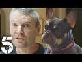 The Radford Family S Dogs 22 Kids Counting Channel 5